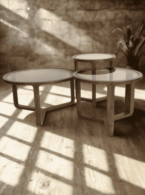 סט שולחנות סלון מעוצבים בסגנון ייחודי מעץ וזכוכית