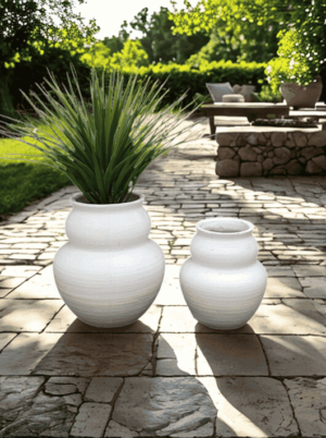 כד לעציץ בעיצוב אורגני מעוגל